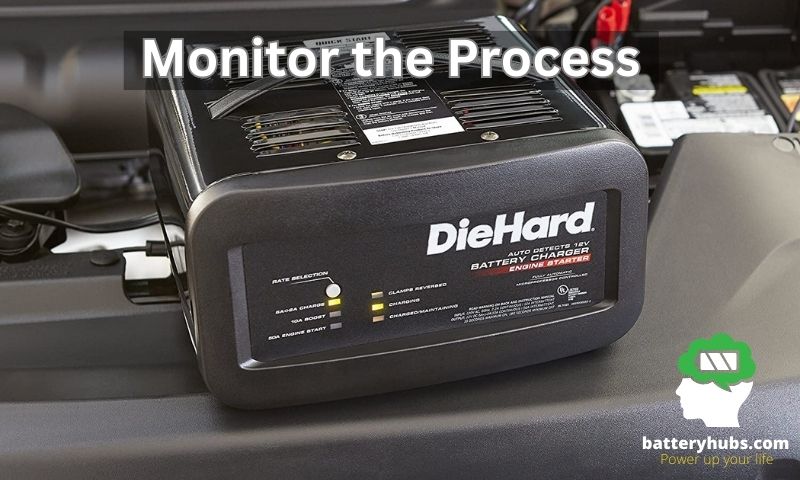 monitor the process